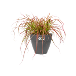 vibia campana rund 47cm anthracite